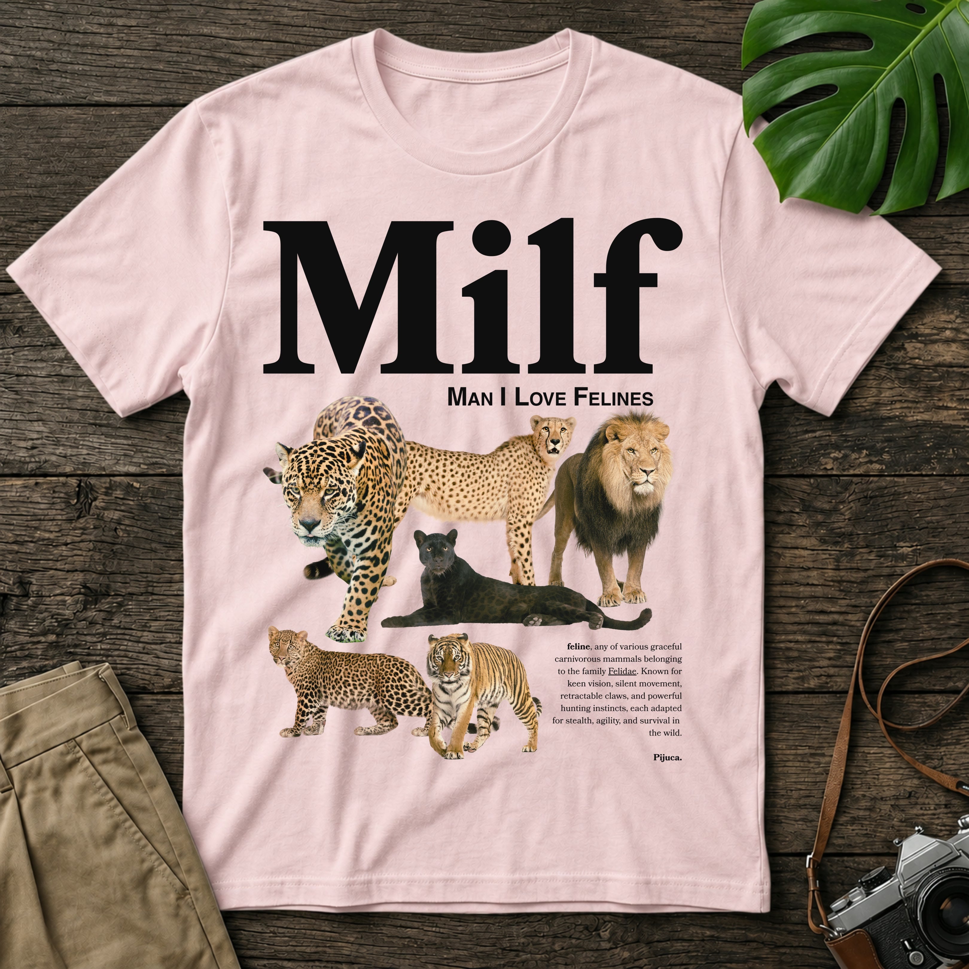 shopify-mockup-cotton-pink