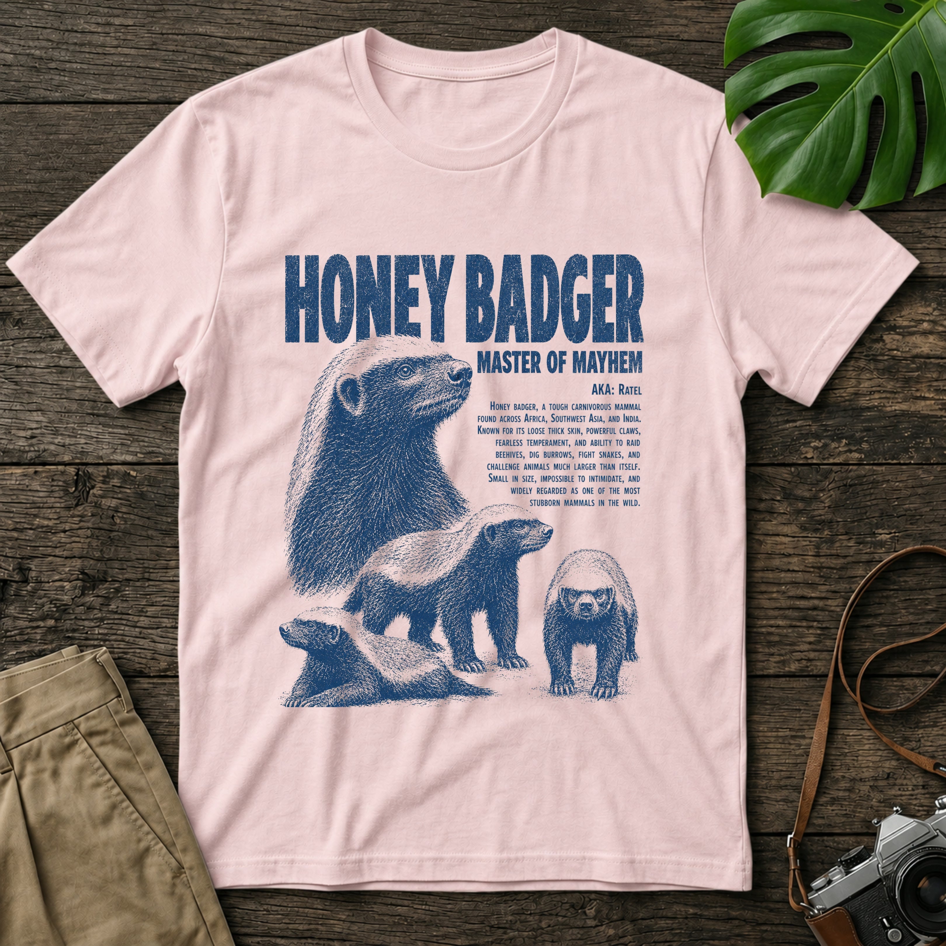 shopify-mockup-cotton-pink